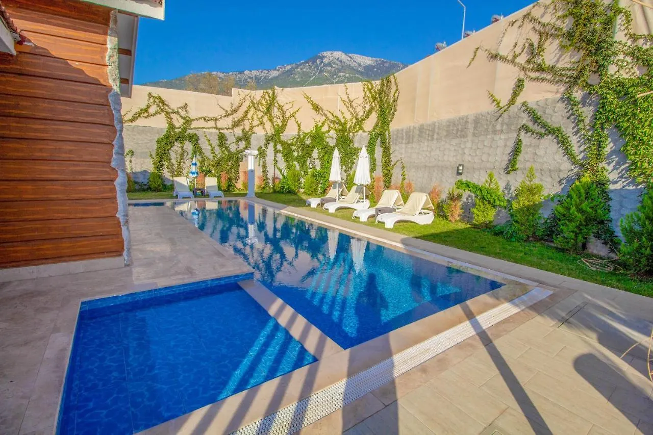 Patara Infinity 3+1 Villa, Oezel Havuzlu, Fethiye 0*,  Turkey